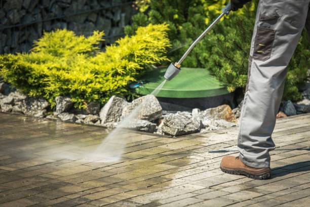 Best House Exterior Washing  in Athens, MI